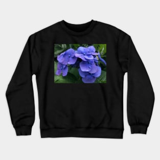 Perfect Blue Hydrangea in the Rain Crewneck Sweatshirt